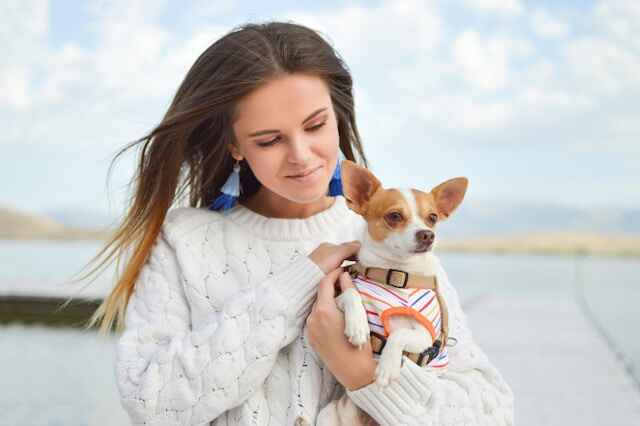 tips-for-flying-with-pets